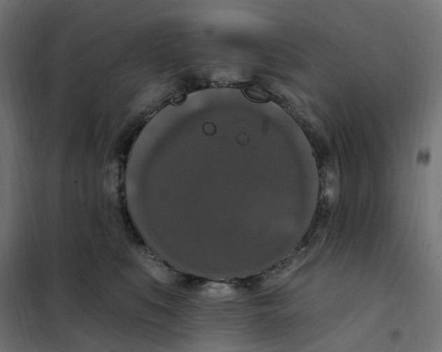 X0000102040519200808081838