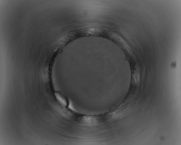 X0000102040520200808081838