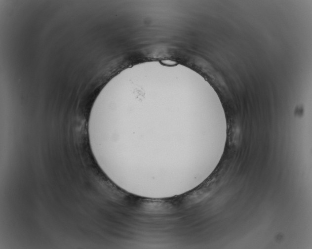 X0000102040521200808081838