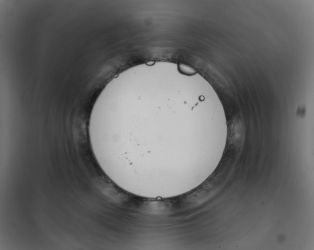 X0000102040522200808081838