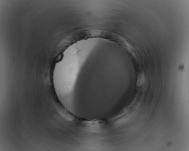 X0000102040524200808081838