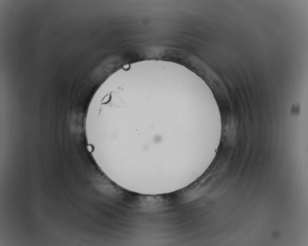 X0000102040525200808081838