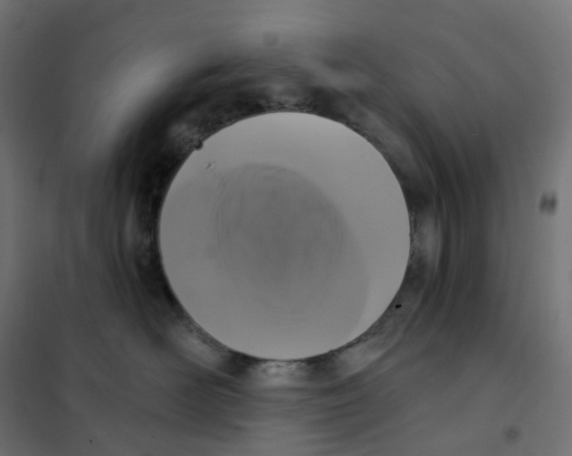 X0000102040526200808081838