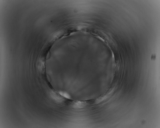 X0000102040527200808081838