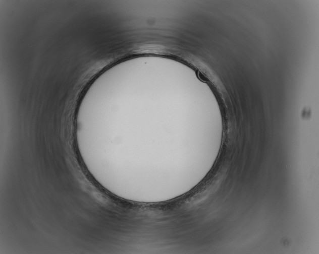 X0000102040529200808081837