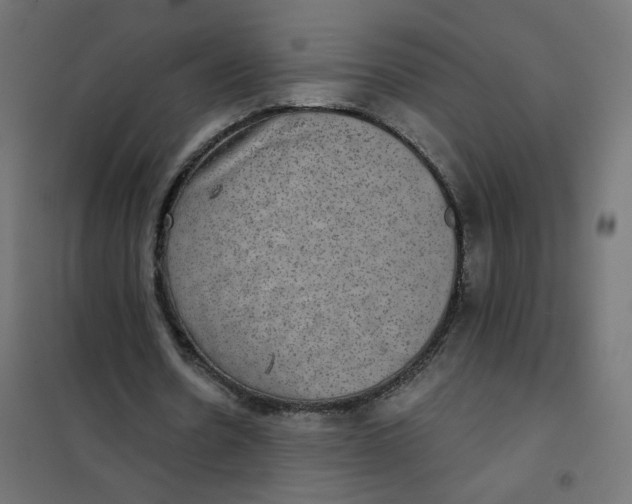 X0000102040530200808081837