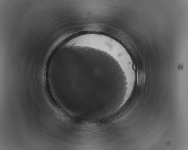 X0000102040531200808081837