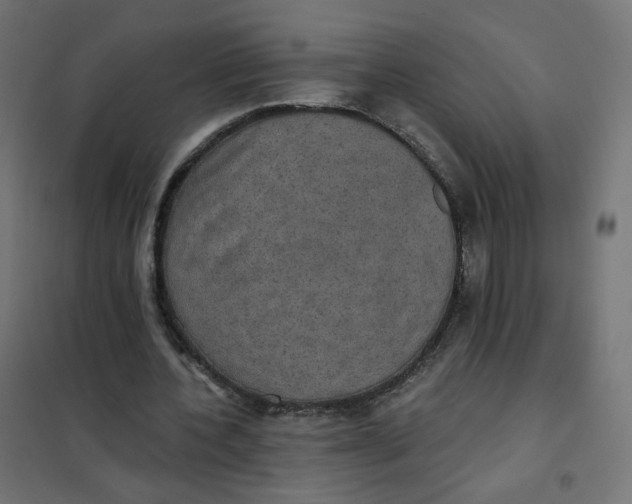 X0000102040532200808081837