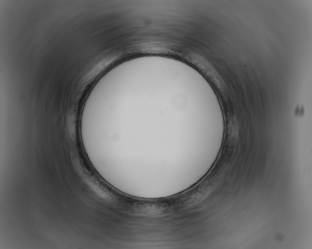 X0000102040533200808081837