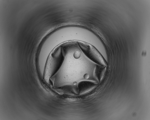 X0000102040534200808081837