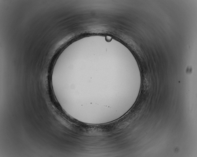 X0000102040535200808081837