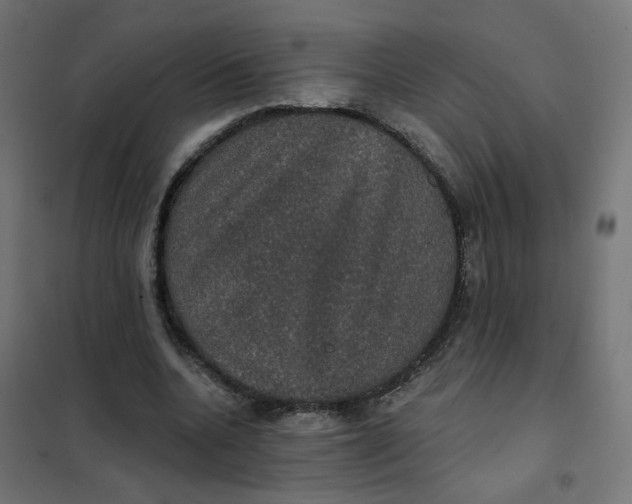 X0000102040536200808081837