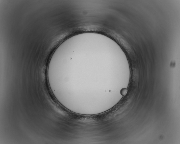 X0000102040537200808081837