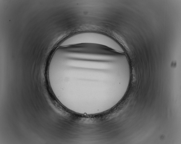 X0000102040538200808081837