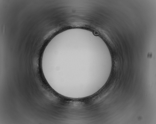 X0000102040539200808081837