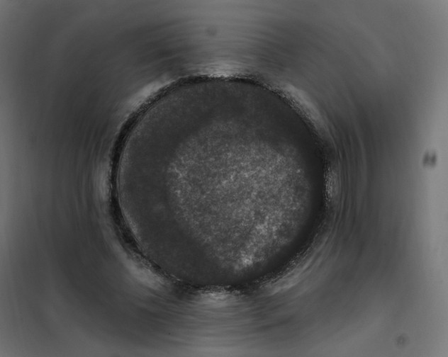 X0000102040540200808081837