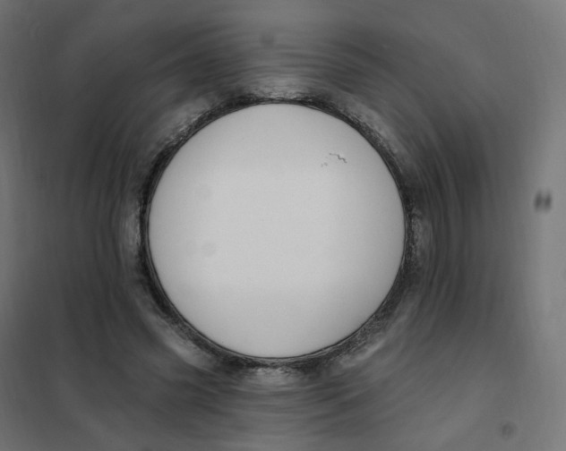 X0000102040541200808081837