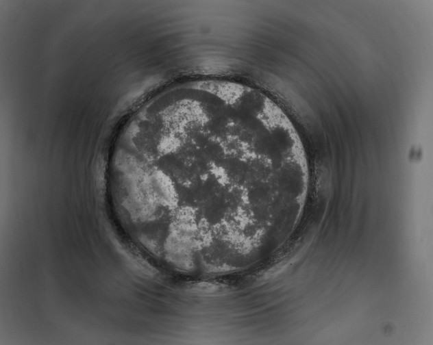 X0000102040542200808081837