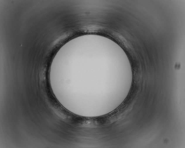 X0000102040543200808081837