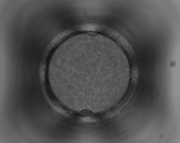 X0000102040544200808081837