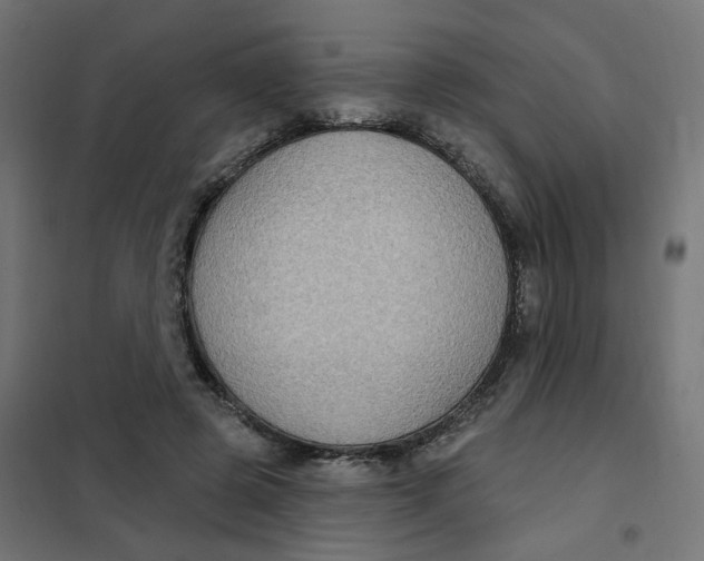 X0000102040545200808081837