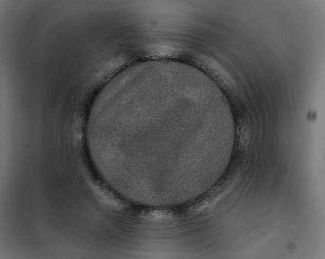 X0000102040546200808081837