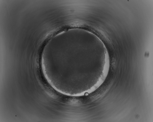 X0000102040547200808081837