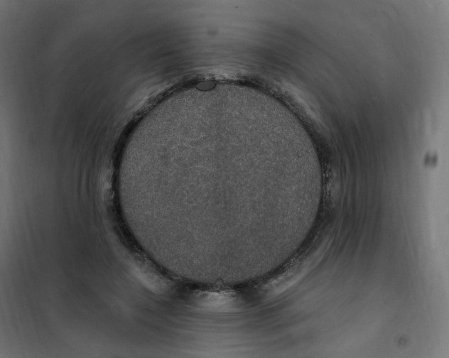 X0000102040548200808081837