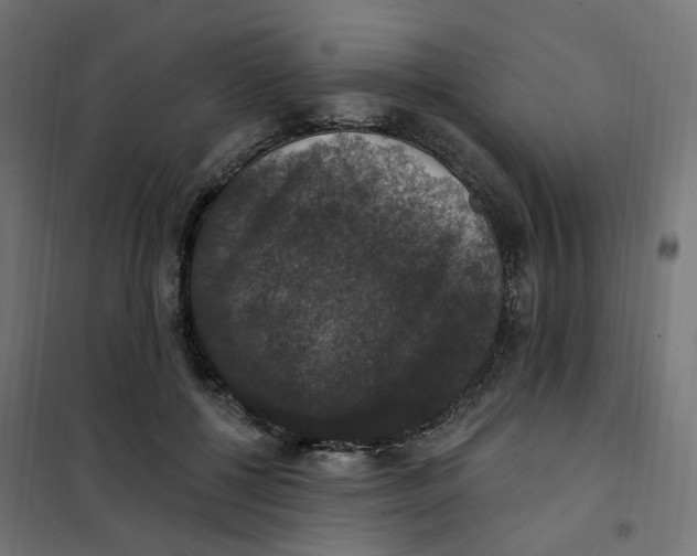 X0000102040552200808081837