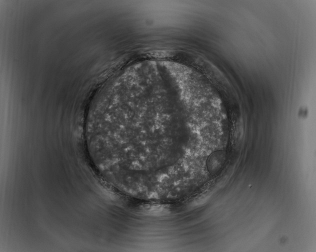 X0000102040553200808081837