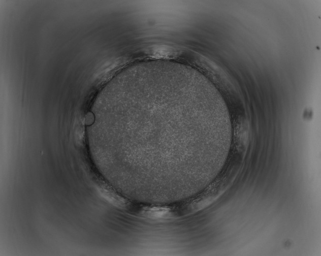 X0000102040554200808081837