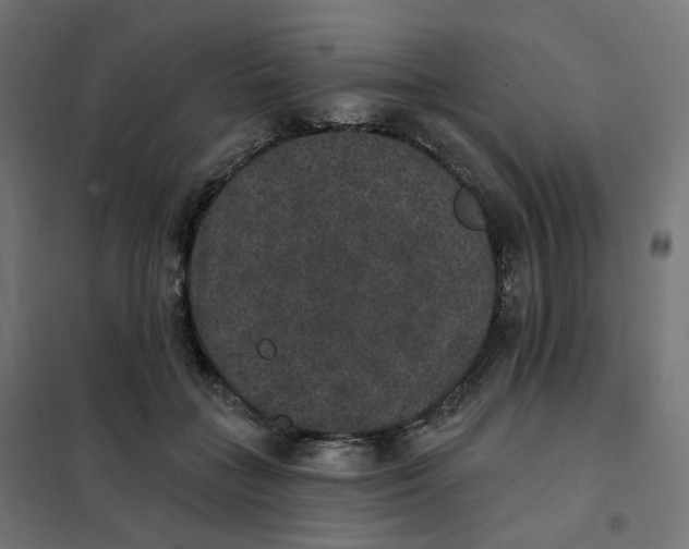 X0000102040555200808081837