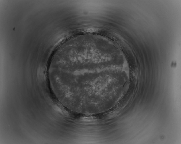 X0000102040556200808081837