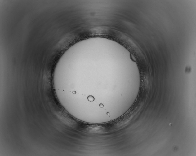 X0000102040557200808081837