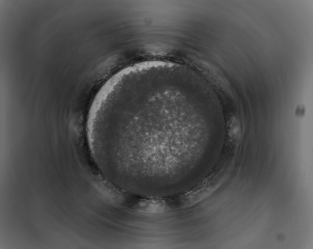 X0000102040559200808081837