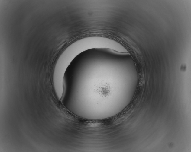 X0000102040560200808081837