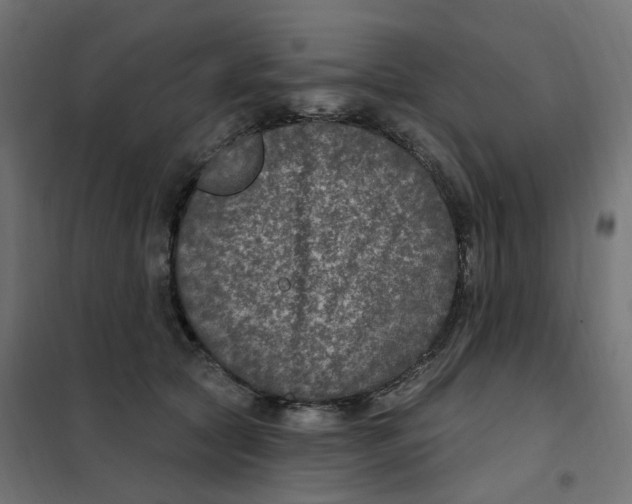 X0000102040561200808081837