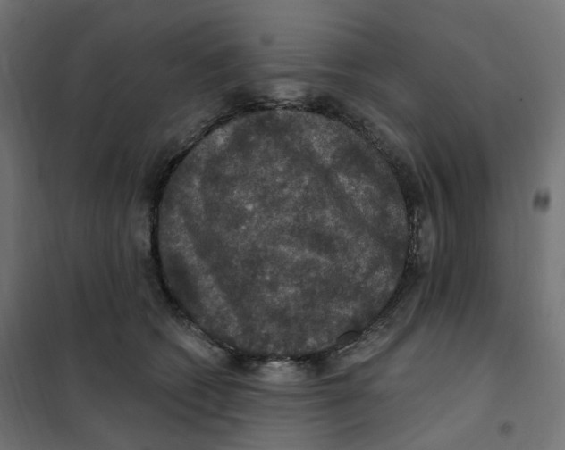 X0000102040562200808081837