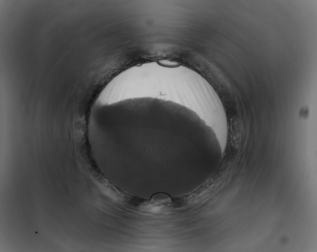 X0000102040563200808081837