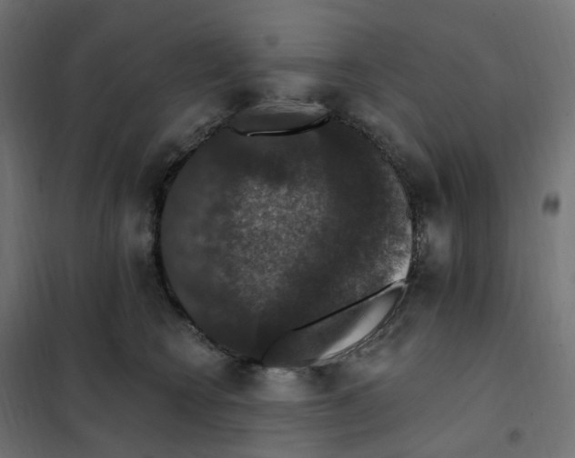 X0000102040566200808081837