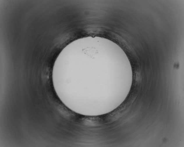 X0000102040567200808081837