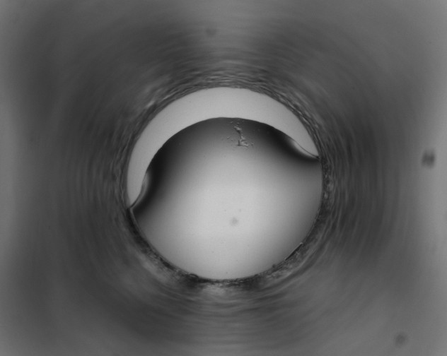 X0000102040568200808081837