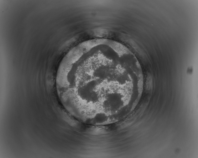 X0000102040569200808081837