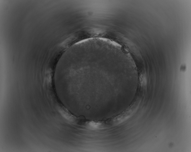 X0000102040570200808081837