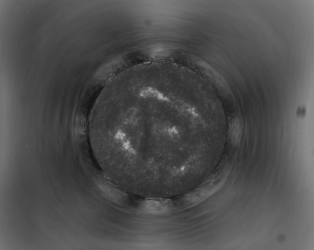 X0000102040571200808081837