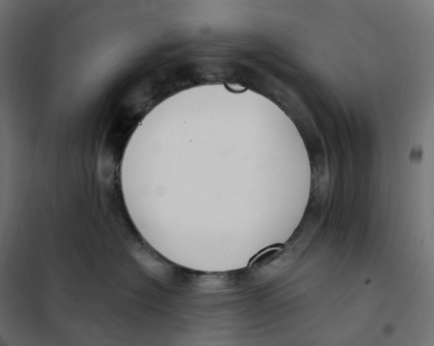 X0000102040574200808081838