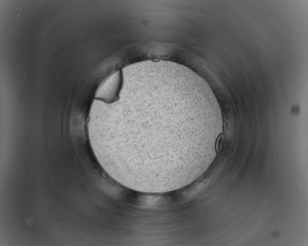 X0000102040575200808081838