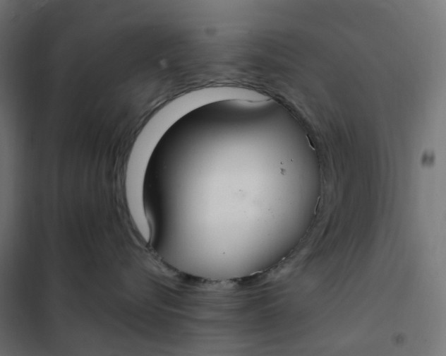 X0000102040576200808081838