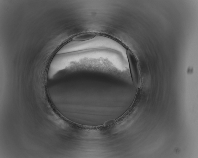 X0000102040577200808081837