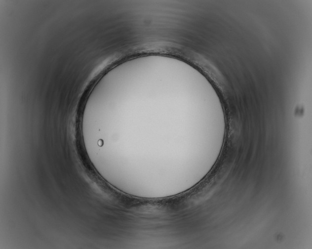 X0000102040578200808081837